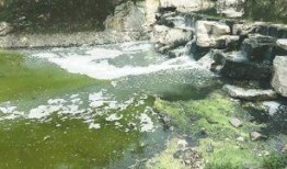 甲子湖最新爆料,揭秘湖中惊现神秘生物之谜